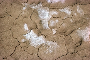 Drought Prints: Sign of drought