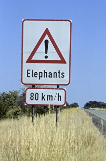 Road Sign Prints: Sign, Elephants crossing the road