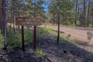 Awareness Prints: Sign instructs loggers to save dead trees for wildlife in Kaibab National Forest, Arizona