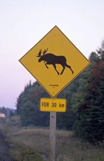 Rural Road Collection: Sign, Moose crossing the road, Algonquin Provincial Park, Ontario, Canada, North America