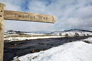 Direction Gallery: Sign for the Pennine Way walking trail on snowy landscape by the River Tees, Upper Teesdale