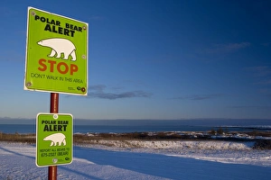 Discretion Prints: Sign, Polar bear alert at Hudson Bay, Churchill, Manitoba, Canada, North America