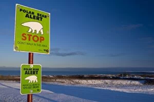 Sign, Polar bear alert at Hudson Bay, Churchill, Manitoba, Canada, North America