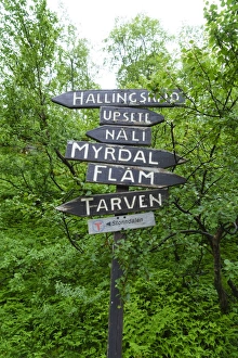 Signpost Prints: Signpost near Flam, Norway, Scandinavia, Europe