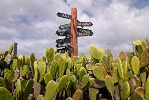 Directions Prints: A signpost standing among cactuses, Barbados, West Indies, Caribbean, Central America