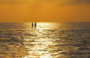 Silhouetted Gallery: Silhouette of couple walking on a sandbank at sunset, Maldives, Indian Ocean, Asia