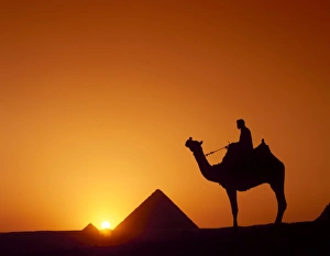 Silhouette of figure on camelback at pyramid, Giza, Cairo, Egypt