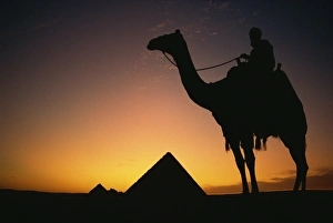 Pyramid Prints: Silhouette of figure on camelback at pyramid, Giza, Cairo, Egypt, North Africa, Africa