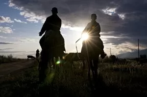 Images Dated 2nd September 2009: Silhouette of Kyrgyz herders, Karakol, Kyrgyzstan, Central Asia