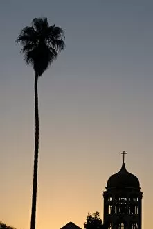 Silhouette of palm tree next to church, La Serena, Chile, South America