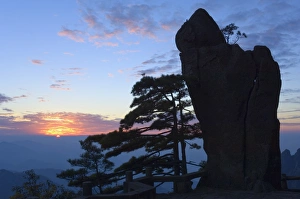 Images Dated 1st November 2005: Silhouette of pine tree, White Cloud scenic area, Huang Shan (Mount Huangshan)