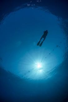Circle Prints: Silhouette of one scuba diver and sunball underwater