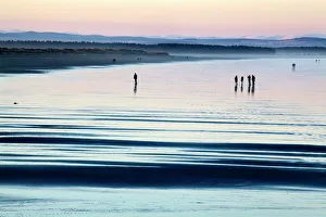 Medium Group Of People Prints: Silhouetted figures on the West Sands at dusk