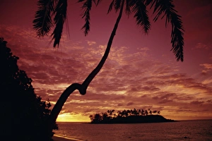 Desert Island Prints: Silhouettes of palm trees and desert island at sunrise, Rarotonga, Cook Islands