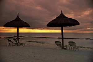 Generic Location Prints: Silhouettes of parasols on the beach at dusk