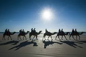Silhouettes of tourists riding on camels on Cable Beach, Broome, Western Australia, Australia, Pacific