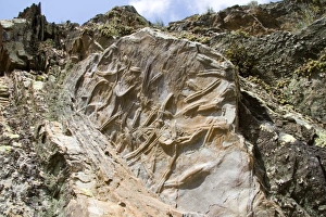 Fossil Prints: Silurian trilobite burrows
