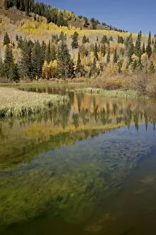 Images Dated 1st October 2010: Silver Lake in the fall, Wasatch-Cache National Forest, Utah, United States of America