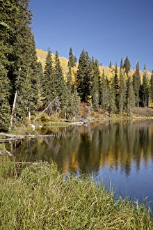 Water Side Prints: Silver Lake in the fall, Wasatch-Cache National Forest