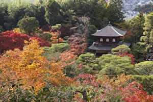 Ornamental Prints: The Silver Pavilion and gardens in autumn