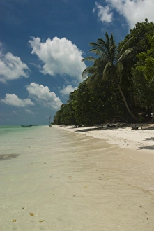 Silver sand beach with turquoise sea, Havelock Island, Andaman Islands