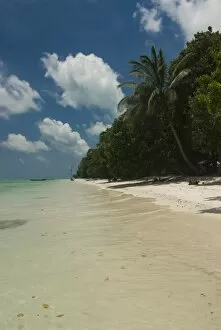 Silver sand beach with turquoise sea, Havelock Island, Andaman Islands