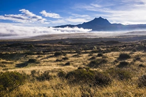 Cotopaxi Province Prints: Sincholagua Volcano at sunrise, Cotopaxi Province, Ecuador, South America