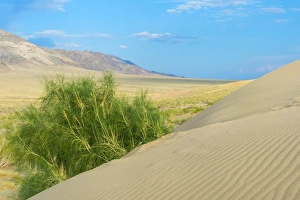 Kazakhstan Prints: Singing Dunes, Altyn-Emel National Park, Almaty region, Kazakhstan, Central Asia, Asia