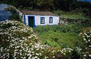 Single storey cottage and garden