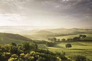 Images Dated 19th May 2008: Single tree at sunset, Orcia Valley (Val d Orcia), UNESCO World Heritage Site, Province of Siena