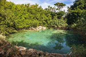 Sinkhole Prints: Sinkhole in the blue hole park, Bermuda, North America