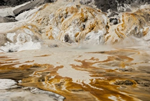 Geothermal Gallery: Sinter deposits at Orakei Koraka geothermal area, Rotorua, North Island, New Zealand