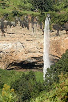 Ugandan Prints: Sipi Falls, Mount Elgon, Uganda, East Africa, Africa
