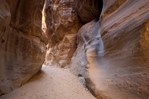 The Siq, Petra