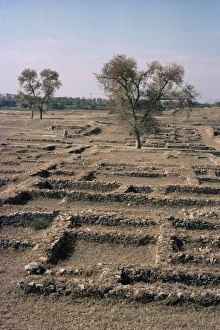 Sirkap, Taxila