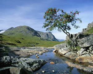 Images Dated 8th August 2008: The Three Sisters of Glencoe