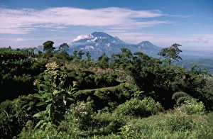 Volcanoe Prints: Site of Gedong Songo