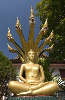 Guard Prints: Sitting Buddha with naga heads