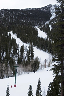 Winter Sports Prints: Ski resort, Mount Charleston, near Las Vegas, Nevada, United States of America