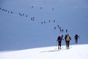 Ski touring in the Alps, ascent to Punta San Matteo, on the border of Lombardia and Trentino-Alto Adige, Italy, Europe
