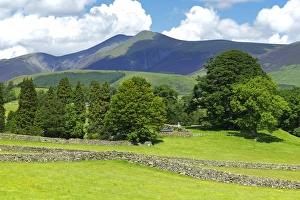 Skiddaw Prints: Skiddaw, Lake District National Park, Cumbria, England, United Kingdom, Europe