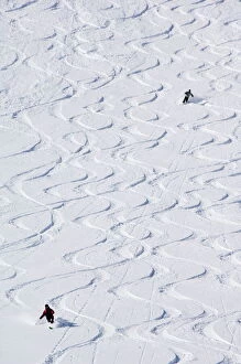 Images Dated 28th January 2000: Skiers making early tracks after fresh snow fall at Alta Ski Resort