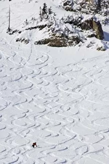 Images Dated 28th January 2000: Skiers making early tracks after fresh snow fall at Alta Ski Resort