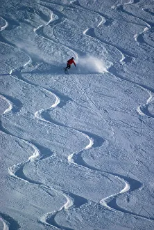 Freedom Prints: Skiers in powder snow