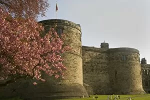 Images Dated 19th April 2011: Skipton Castle, Yorkshire, England, United Kingdom, Europe