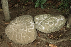 Sky-Map stone has astrological signifance, at excavated site of pre-Columbian city Sky-Map stone has astrological signifance, at excavated site of pre-Columbian city