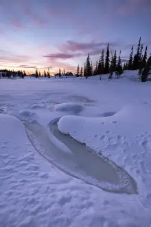 Trondelag Prints: The sky turns pink at dawn, Rorvik