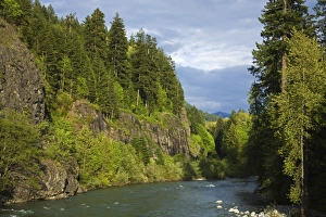 Images Dated 25th May 2008: Skykomish River, Stevens Pass Scenic Highway, Washington State, United States of America