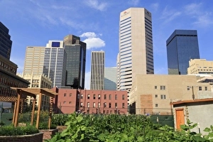 Denver Prints: Skyline, Denver, Colorado, United States of America, North America