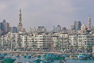 Images Dated 22nd February 2007: The skyline and habour of Alexandria, Egypt, North Africa, Africa